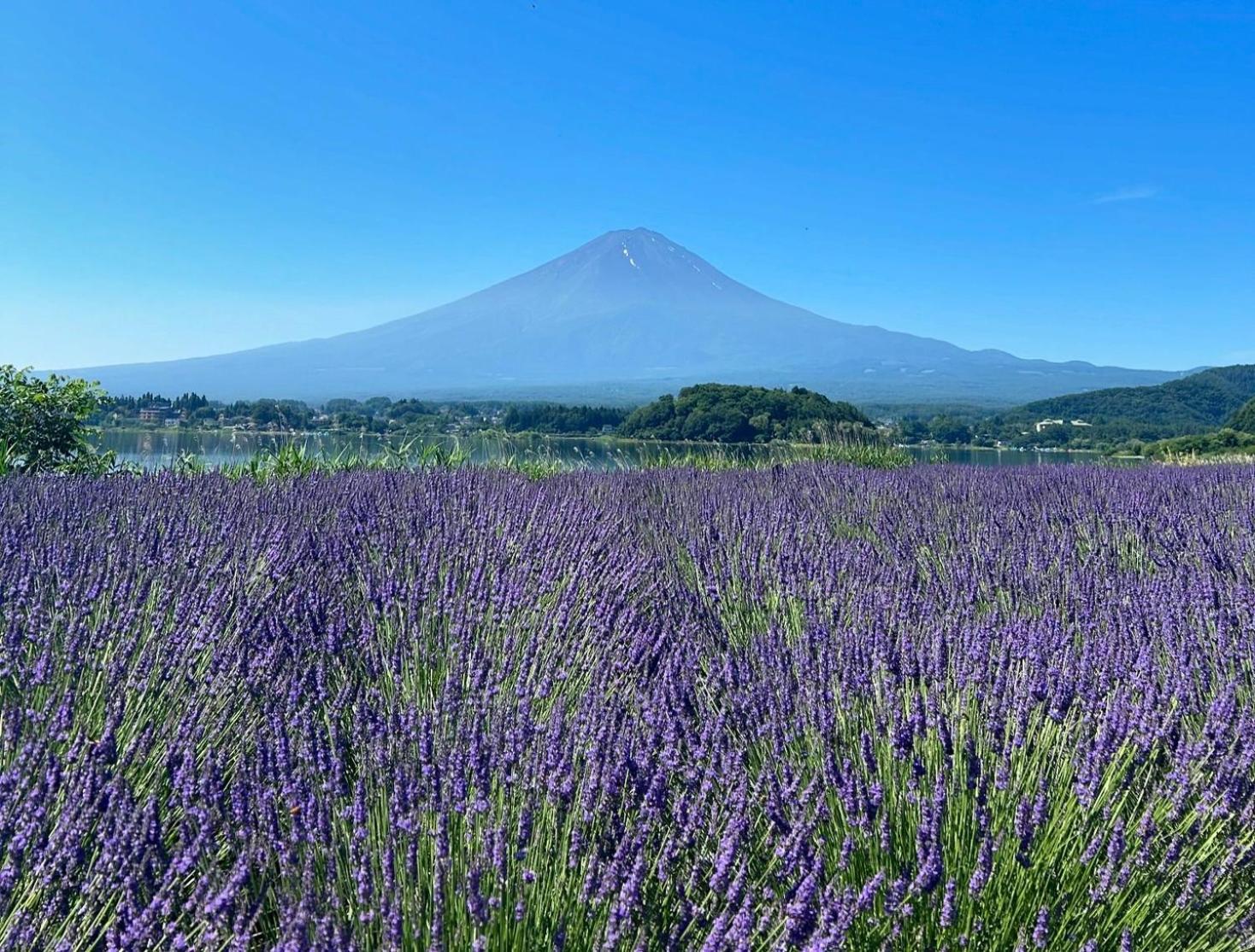 Holiday Home Furinkazan 風林火山 Fujikawaguchiko Exterior photo